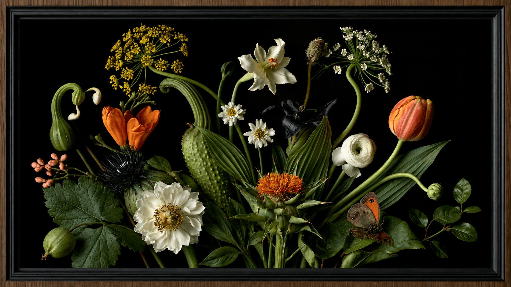 A dramatic botanical still life of flowers, seed heads and foliage arranged against a deep black background.